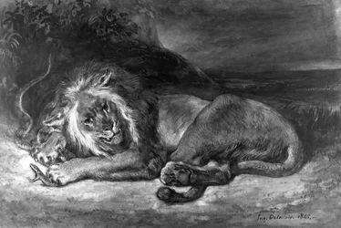 Lion et serpent